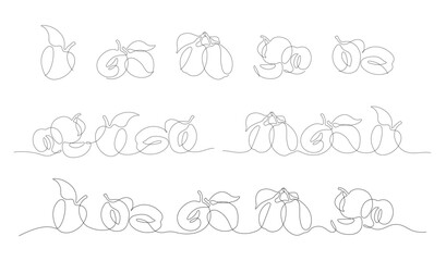 Graphic set in vector of linear stylized plums in one line