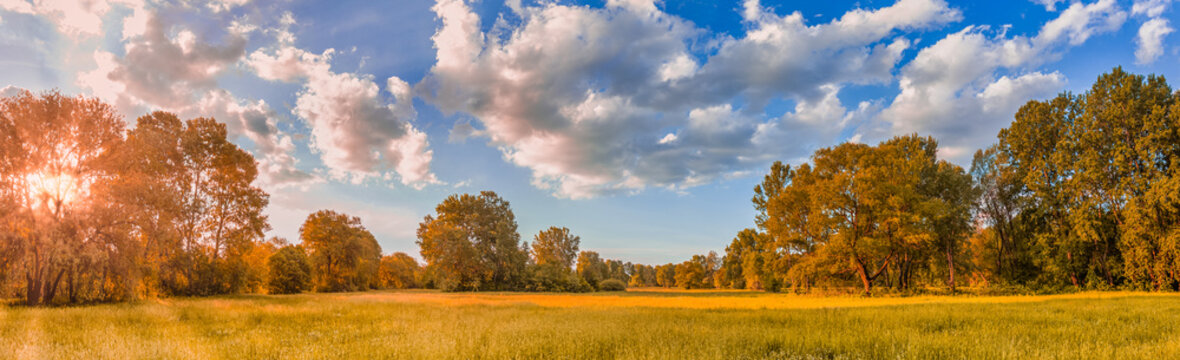 Colorful autumn sunrise on meadow. Panoramic nature landscape, 
soft pastel colors, dream nature, 
sunset autumnal background. Forest field, 
closeup golden grass meadow. Peaceful amazing nature panor