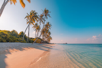 Tropical sea beach colorful sky sand sunset light sunrays. Relaxing landscape, horizon palm trees calm water. Romantic couple travel seaside tourism. Exotic shore coast nature. Tranquil summer island