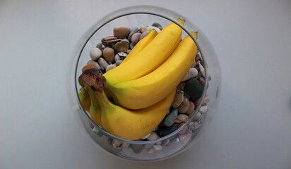 Whole bananas in bunch inside kitchen fruit vase filled with sea pebbles top view 
 - Powered by Adobe