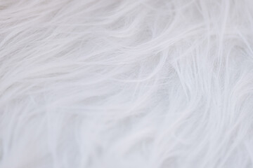 Close-up of soft, white fur texture. Concept for luxury fashion, interior design or animal care products.