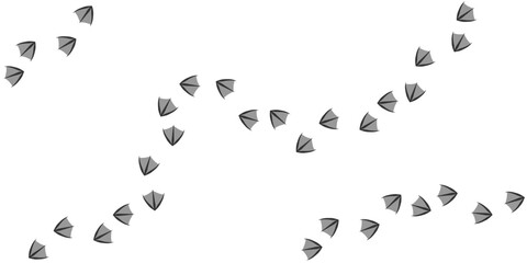 Footprints of birds, Traces of a duck on white background. Duck or Goose  silhouette paws tracks. Paw Print. Vector illustration for your design. EPS10.