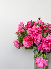 Pink roses in a vase on a white background