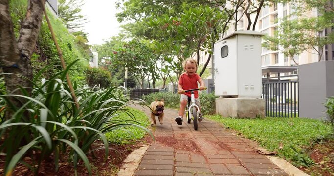 Playful toddler on balance bike and French Bulldog puppy run together on narrow path in city park. Slow-motion shot captures genuine joy and charm of these mischief-makers as they run at winding trail