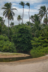 Beach sun heat coconut water beach, sea water umbrella boat, tables chairs, your vacation sun and heat