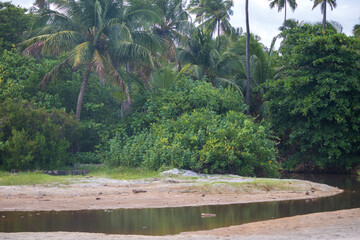 Beach sun heat coconut water beach, sea water umbrella boat, tables chairs, your vacation sun and heat