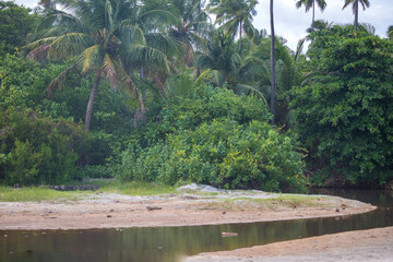 Beach sun heat coconut water beach, sea water umbrella boat, tables chairs, your vacation sun and heat