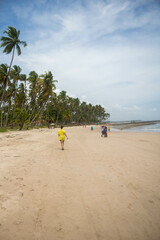 Coconut trees in northeastern Brazil in the states of Alagoas and Pernambuco, showing the sands and coral reefs, something unique in this region of Brazil