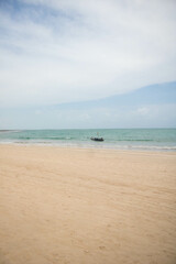 Day to observe the beach, sea and sky, stand in Paraia looking at the natural beauty of Alagoas and Pernambuco, a paradisiacal place with a white area