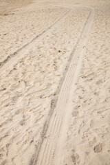 
Trail of pickup truck and bug on a beach in northeastern Brazil between Alagoas and Pernambuco, beautiful images on the white sand