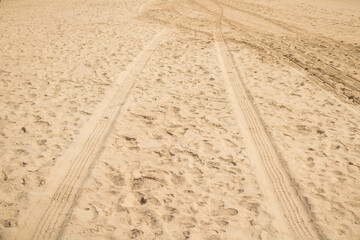 
Trail of pickup truck and bug on a beach in northeastern Brazil between Alagoas and Pernambuco,...