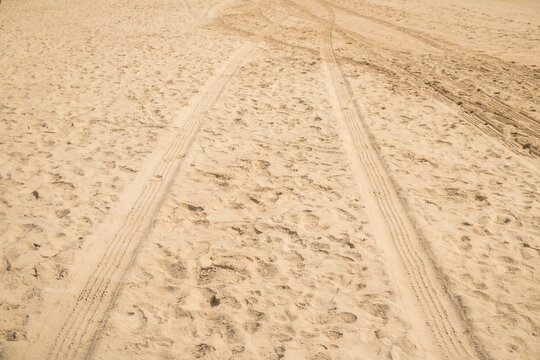 
Trail of pickup truck and bug on a beach in northeastern Brazil between Alagoas and Pernambuco, beautiful images on the white sand