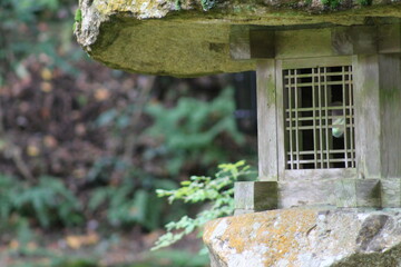 Japan: Temple garden
