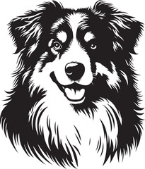 Australian Shepherd Dog Portrait Vector