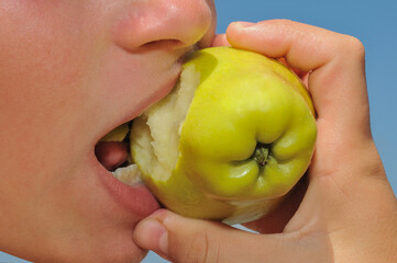 Boy eating a hard green apple