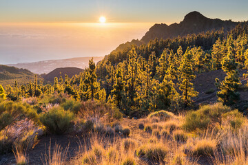 Sonnenaufgang am Mirador de La Crucita, Teneriffa, Kanarische Inseln, Spanien