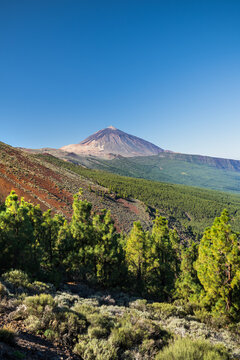 Blick zum Teide von der Bergstrasse TF-24, Teide Nationalpark, Teneriffa, Kanarische Inseln, Spanien