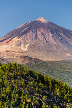 Blick zum Teide von der Bergstrasse TF-24, Teide Nationalpark, Teneriffa, Kanarische Inseln, Spanien