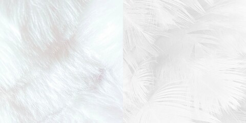 Black and white vintage color trends chicken feather texture background - obrazy, fototapety, plakaty
