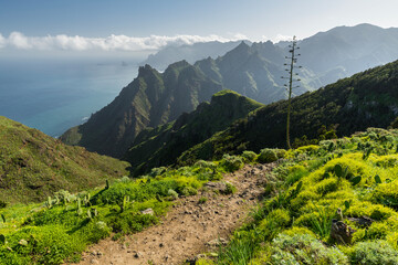 Blick von Taborno nach Barranco de Afur, Anaga Gebirge, Rural Park, Teneriffa, Kanarische Inseln,...