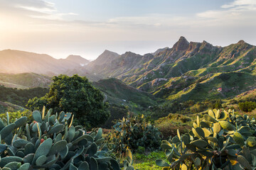 Blick in das Anaga Gebirge, Rural Park, Teneriffa, Kanarische Inseln, Spanien - obrazy, fototapety, plakaty
