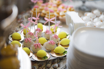 Delicious sweet cakes and desserts at the festive candy bar