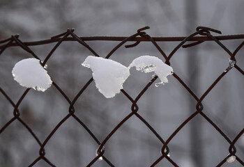 Snow pieces hanging on a wire fence in winter. Textured fluffy snow melting under winter sun on a metal fence.