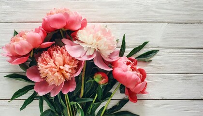 beautiful bouquet of fresh coral pink peony flowers in full bloom on white wooden background view from above