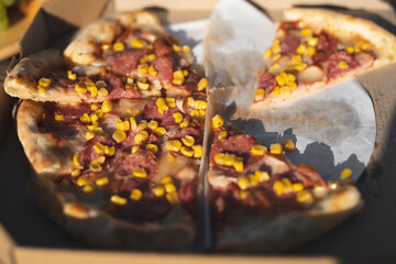 delicious fresh pizza with meat cut into pieces