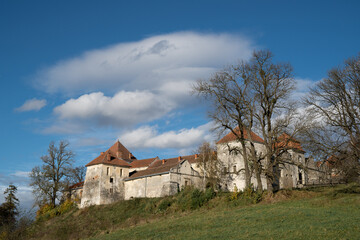 beautiful landscape of the castle on the hill in Ukraine in the village of Svirzh