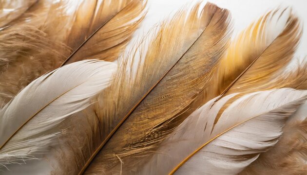Feathers Mini Dress