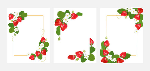Set of rectangle frames with strawberries. Three frames isolated on a white background.	