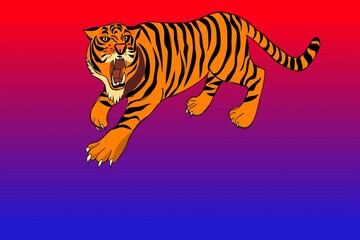 tiger on a blue background