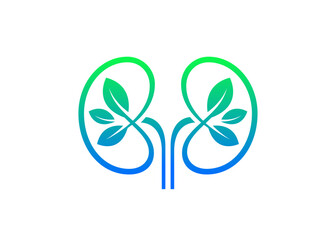 Modern elegant kidneys vector icon with leaf