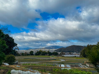 Obraz premium Tranquil scenery photo taken at Shugankuin Imperial Villa, Kyoto, Japan on a sunny day 