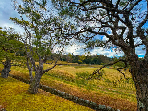 Tranquil scenery photo taken at Shugankuin Imperial Villa, Kyoto, Japan on a sunny day 
