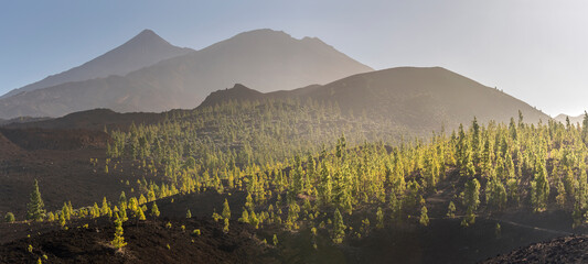 Teide vom Mirador de Samara, Mirador de Samara, Teneriffa, Kanarische Inseln, Spanien