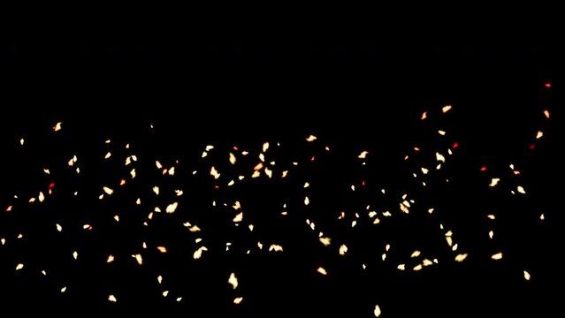 Flame particles and sparks fly in a realistic simulation of the colors of blazing fire, Isolated by Alpha channel