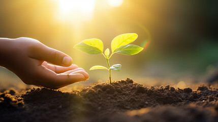 Fototapeta premium Small hand planting a tree, saving the world from global warming.