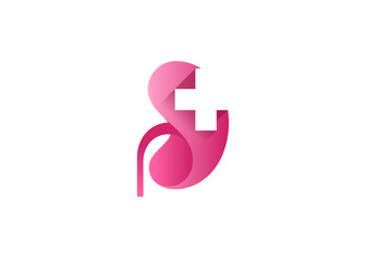 Kidneys vector icon isolated with medical cross