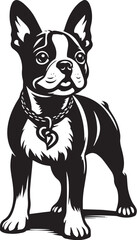 Vintage Retro Styled Vector Boston Terrier dog Silhouette Black and White - illustration