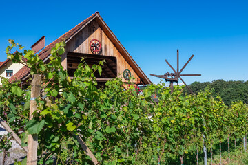 Fototapeta na wymiar Scenic view of vineyards near Ehrenhausen an der Weinstrasse, Leibnitz, South Styria, Austria. Windmill klapotetz on winery Skoff stretching on green hills. Idyllic hiking trails in Styrian Tuscany