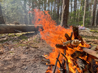 a barbecue campfire is built in the forest