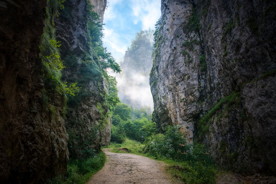 Beautiful view through the narrow vertical walls of the Zarnestilor gorges, Romania