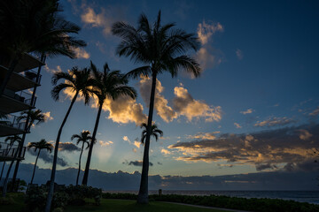 Hawaii Sunset Landscape near Lahaina, Maui, Hawaii