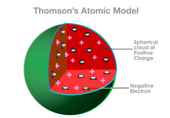 Thomson's atomic model is likened to the internal structure of a watermelon. Seeds as negatively charged particles. Red part, spherical cloud of the water melon as positively. Vector illustration