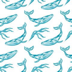 Sea whale, pattern, seamless. Graphic arts. Vector illustration. Cards, invitations, banners, flyers, covers, labels, textiles, packaging, wallpaper.