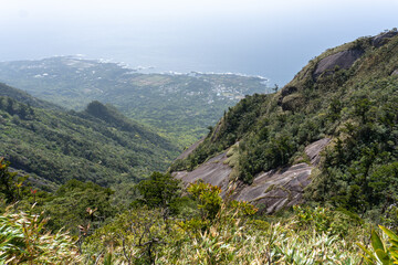 Fototapeta na wymiar Mt. Tachu in Yakushima island