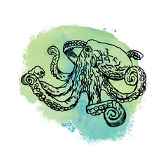 Octopus graphics. Vector illustration with a blue spot on the background. Design element for cards, covers, posters, banners, packaging, labels.