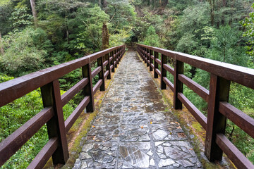 Fototapeta na wymiar Mt. Tachu in Yakushima island